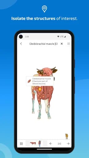 IMAIOS vet-Anatomy screenshot 3