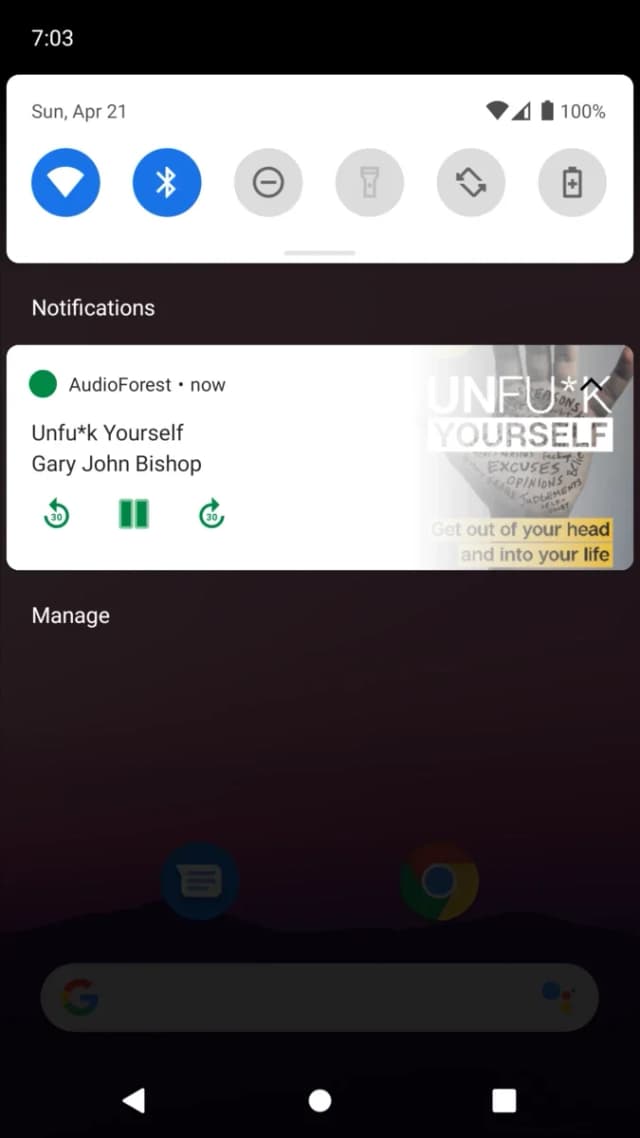AudioForest screenshot 1