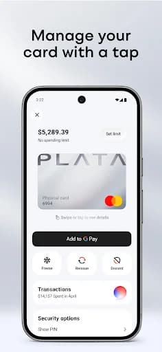 Banco Plata screenshot 6