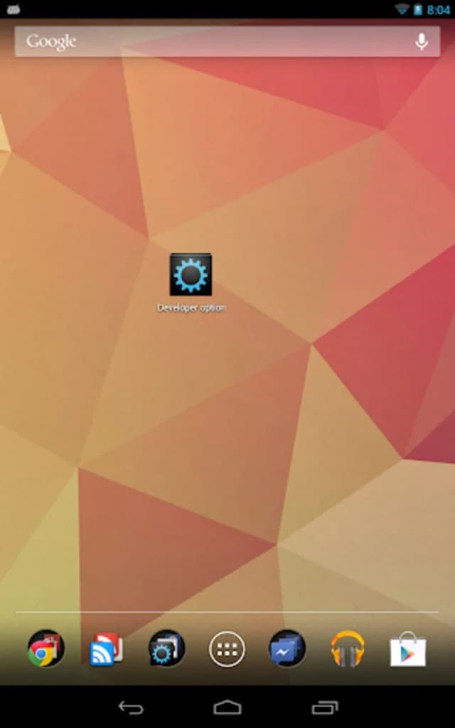 Options pour les développeurs screenshot 2
