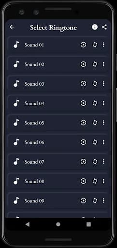 African Grey Parrot Sounds screenshot 3