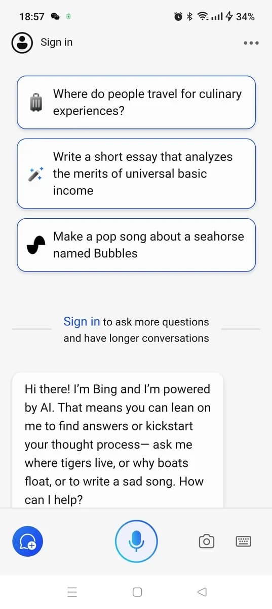 Microsoft Copilot screenshot 3