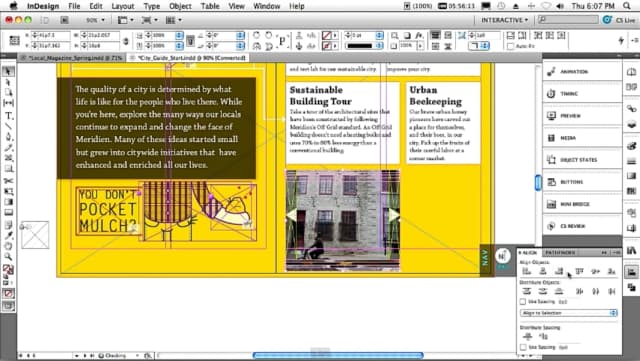 Adobe InDesign screenshot 1