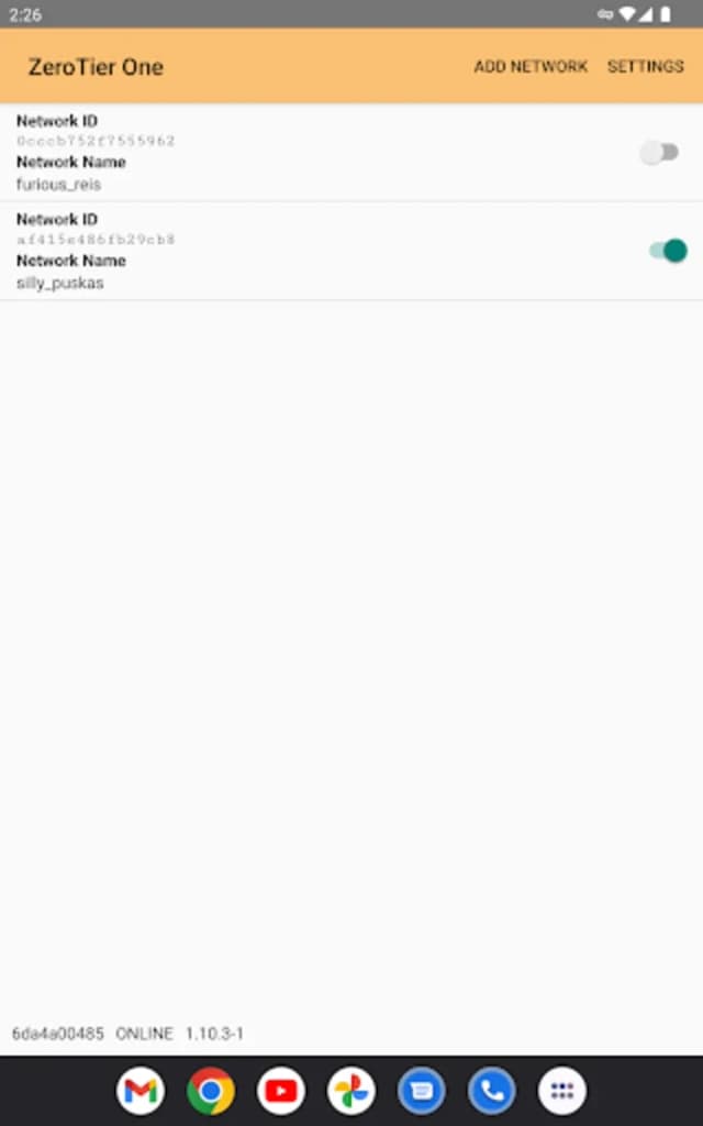 ZeroTier One screenshot 6