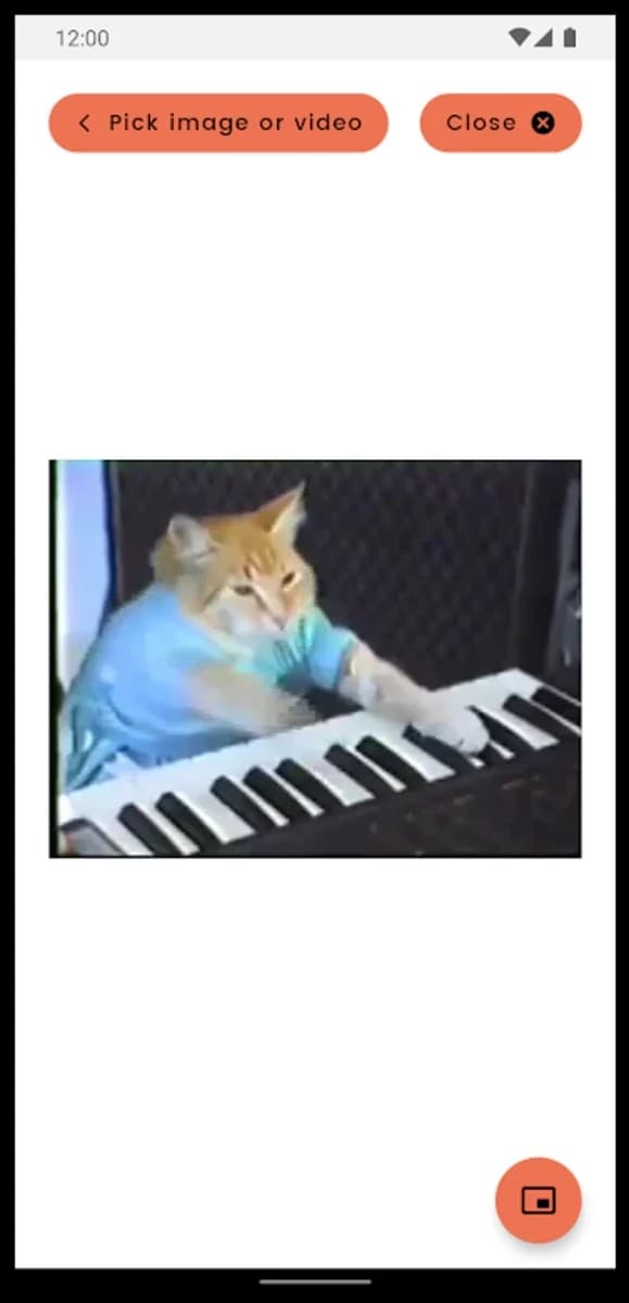 Anything to PiP screenshot 3