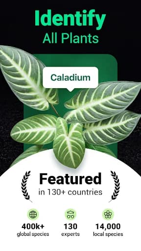 Plantum - Plant Identifier screenshot 1