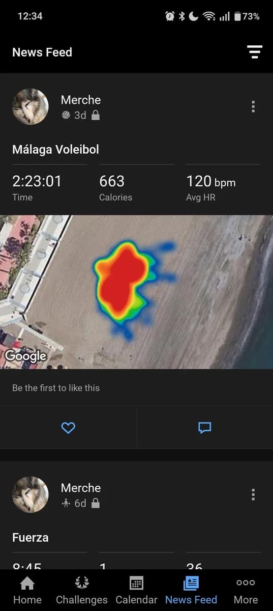 Garmin Connect screenshot 3