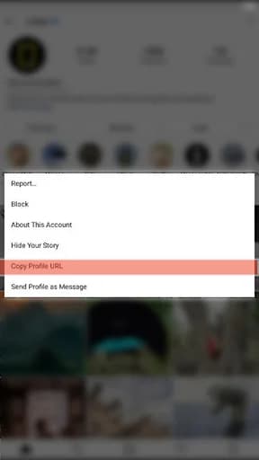 HD Profile Picture Viewer screenshot 2