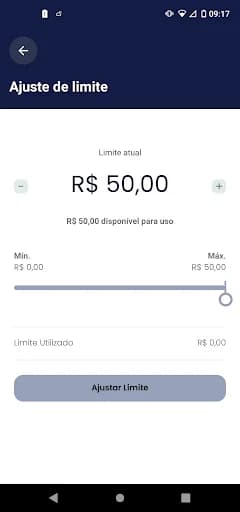 Cartão BIB screenshot 5
