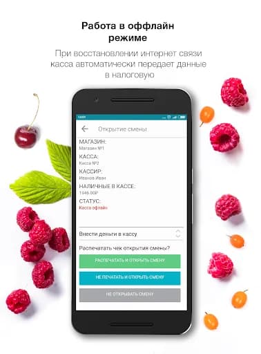 LiteBox POS: онлайн-касса 54ФЗ screenshot 6