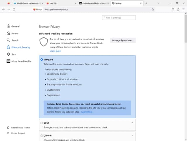 Mozilla Firefox Portable screenshot 3