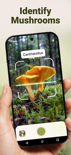 Mushroom ID - Fungi Identifier screenshot 1