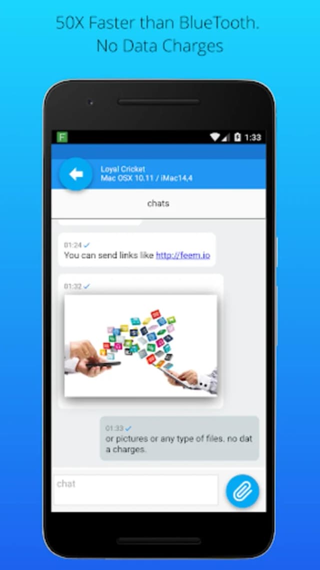 Feem screenshot 1