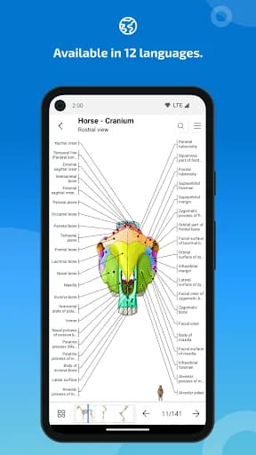 IMAIOS vet-Anatomy screenshot 6