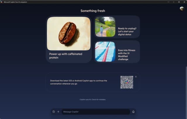 Microsoft Copilot screenshot 6
