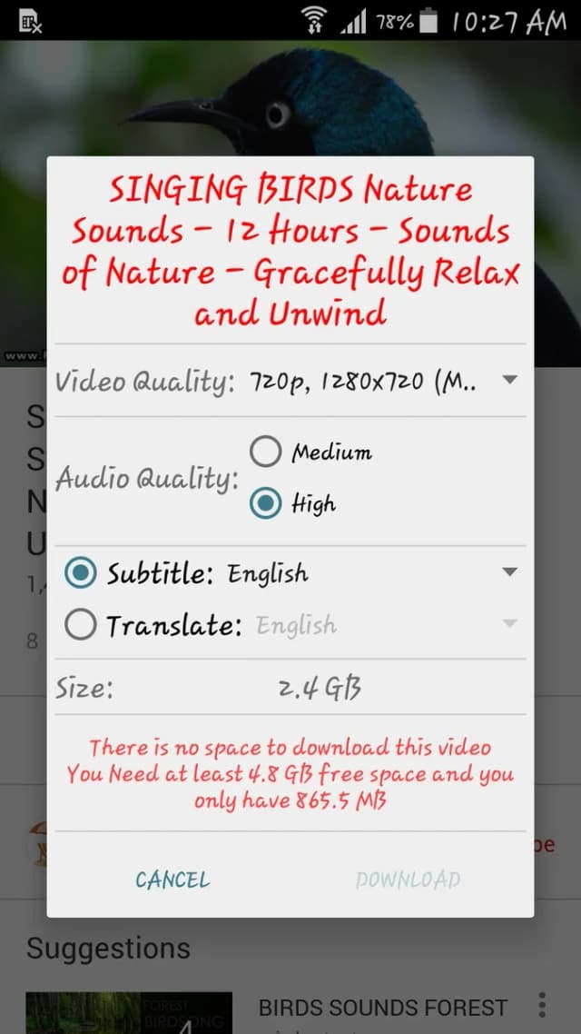 OGYouTube screenshot 6