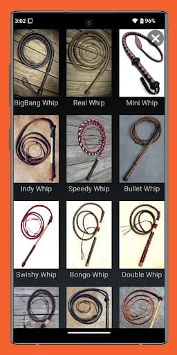 Whip App screenshot 2