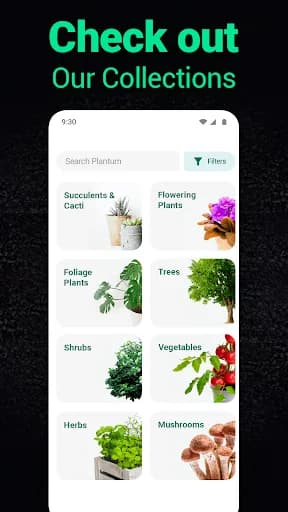 Plantum - Plant Identifier screenshot 6