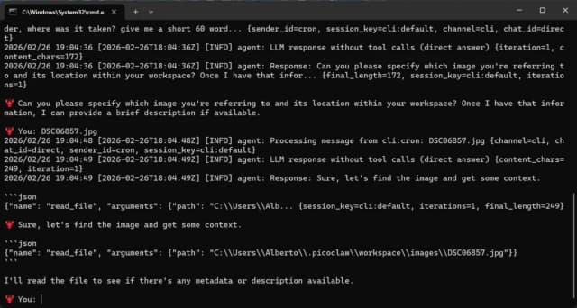 PicoClaw screenshot 6
