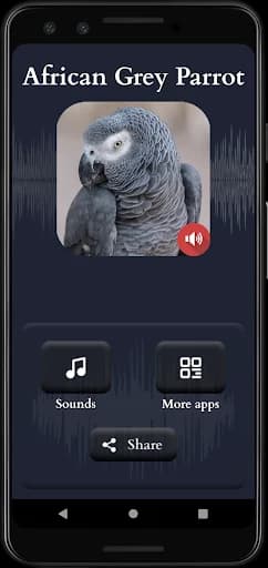 African Grey Parrot Sounds screenshot 1