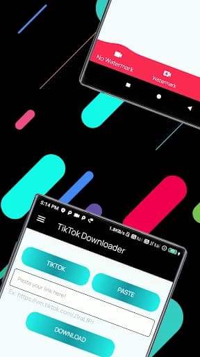 TikTok Video Downloader screenshot 6
