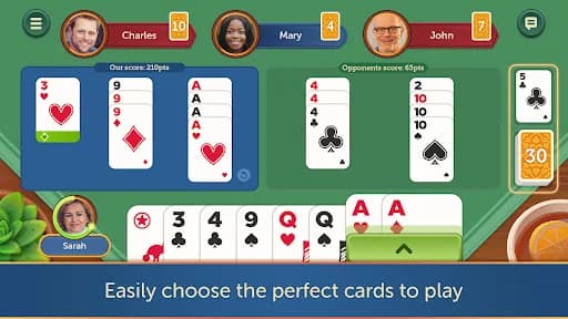Canasta - Fun & Friends screenshot 2