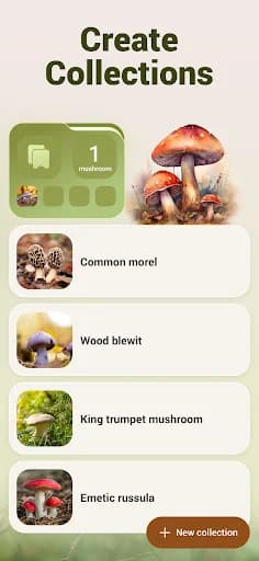 Mushroom ID - Fungi Identifier screenshot 6