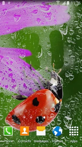 Rainy Live Wallpaper screenshot 5