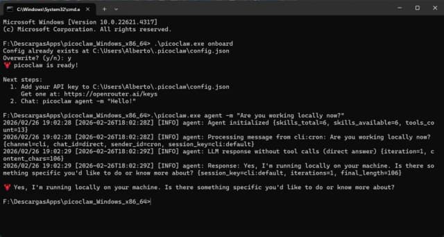 PicoClaw screenshot 1