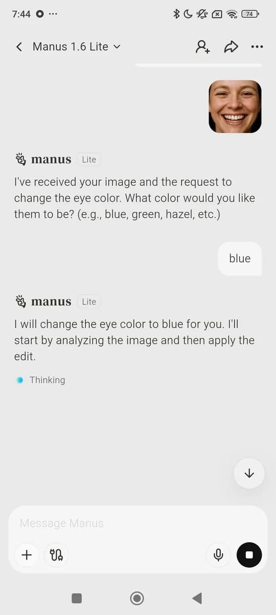 Manus AI screenshot 4