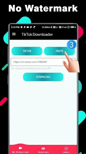 TikTok Video Downloader screenshot 3