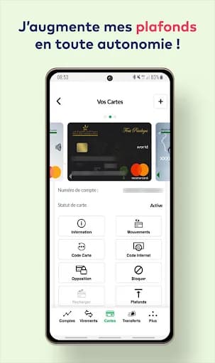 Bank-e screenshot 3