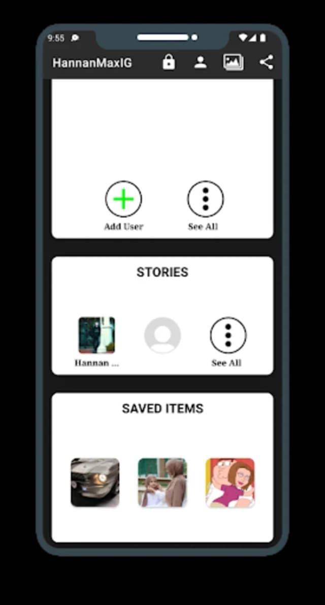 HannanMaxIG screenshot 6