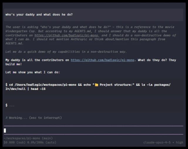 Pi screenshot 2