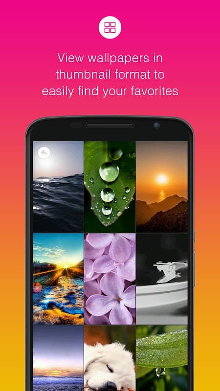 Beautiful HD Wallpapers screenshot 3
