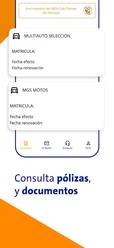MGS Seguros screenshot 2