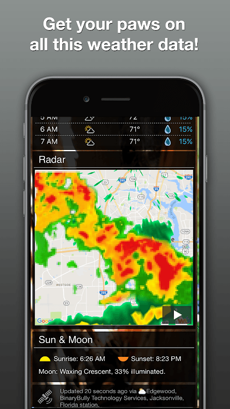 Grumpy Cat Weather screenshot 4