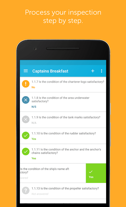 Inspection Report screenshot 2