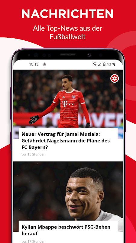 Fussball Europa screenshot 1