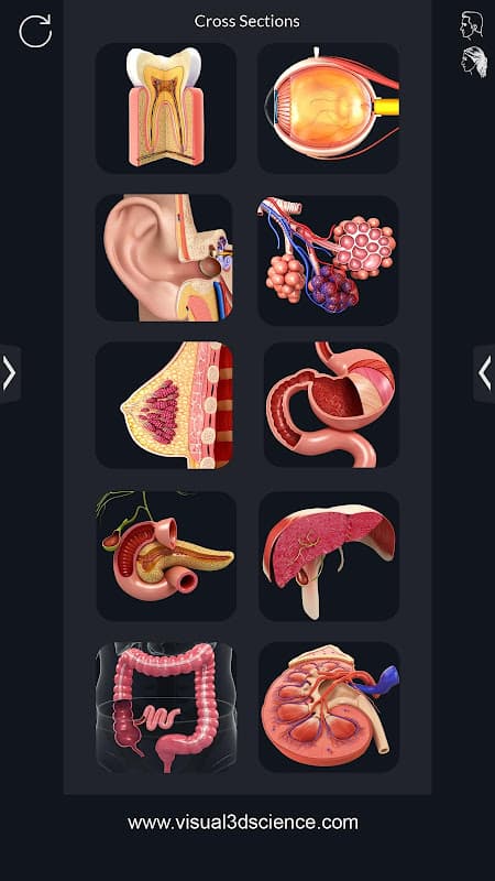 Organs Anatomy Pro. screenshot 2
