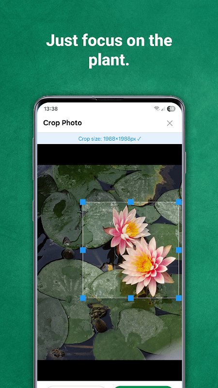 Plant identifier from photo screenshot 3