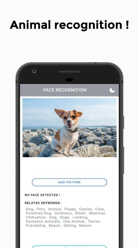 Age Recognition app, How old I am ? Age from Photo screenshot 2