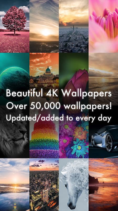 Beautiful HD Wallpapers screenshot 1