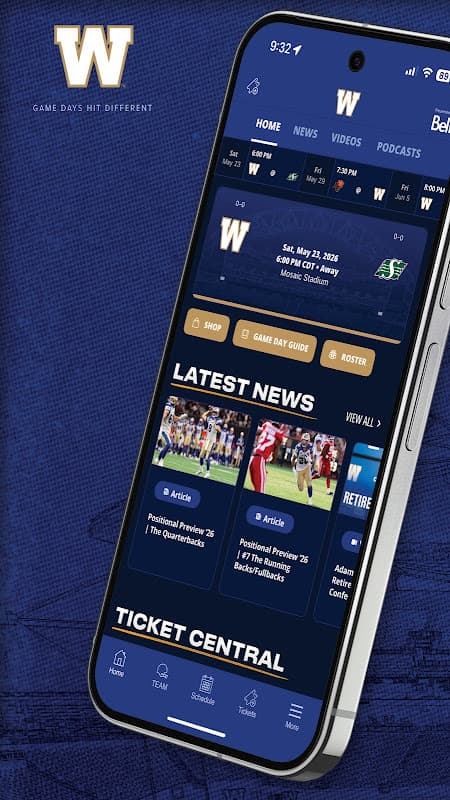Blue Bombers screenshot 1