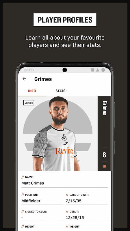 Swansea City screenshot 6