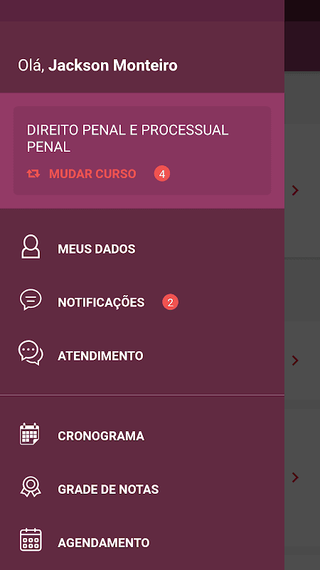 Portal do Aluno screenshot 2