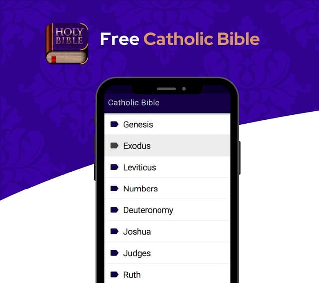Catholic Bible Douay Rheims screenshot 1
