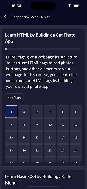 freeCodeCamp screenshot 3