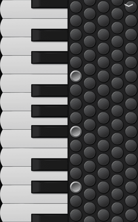 Piano Accordion screenshot 5