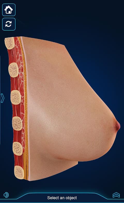 Breast Anatomy screenshot 5